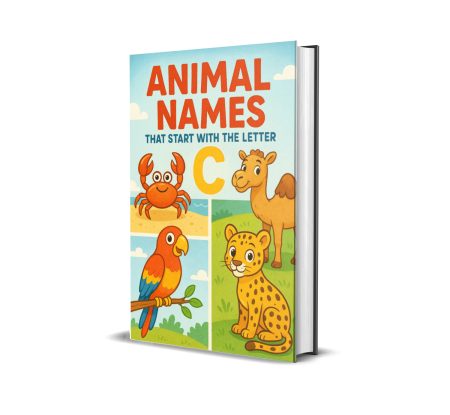 Animal Names That Start with C ebook