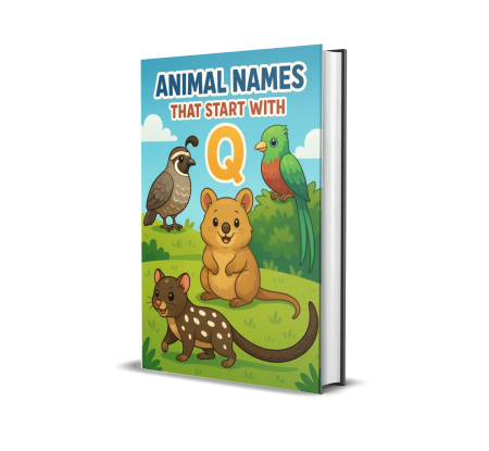 Animal Names That Start with Q ebook