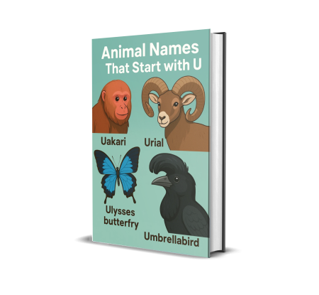 Animal Names That Start with U ebook