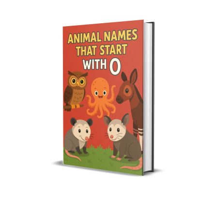 Animal names that start with O ebook