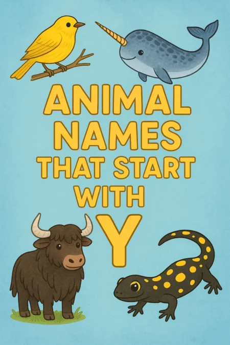Animal Names That Start with Y