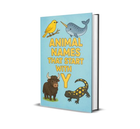 Animal names that start with Y ebook