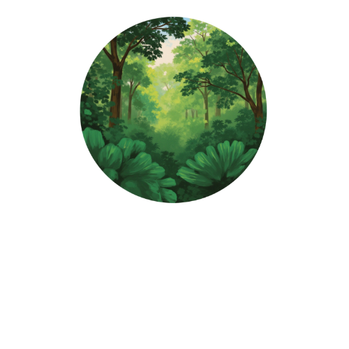 Creative & Design Assets